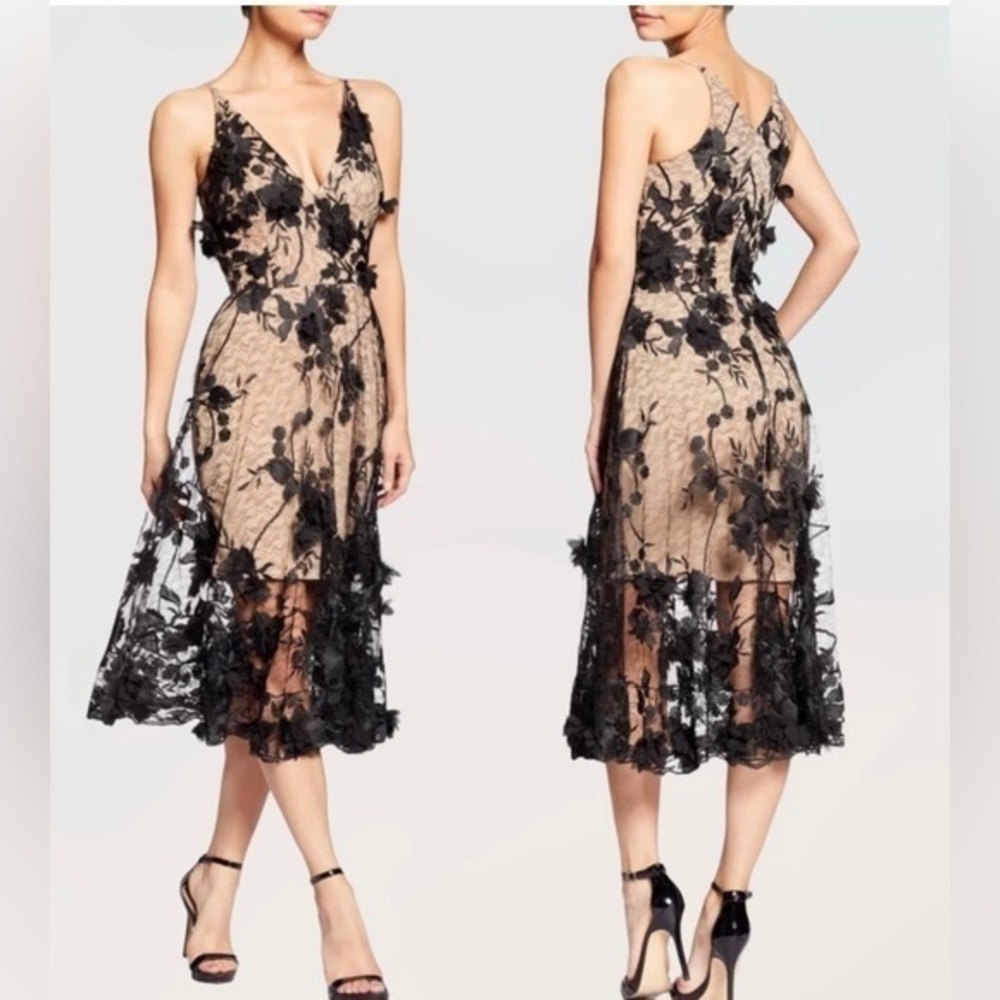 Dress The Population Audrey Embroidered Fit & Flare Dress